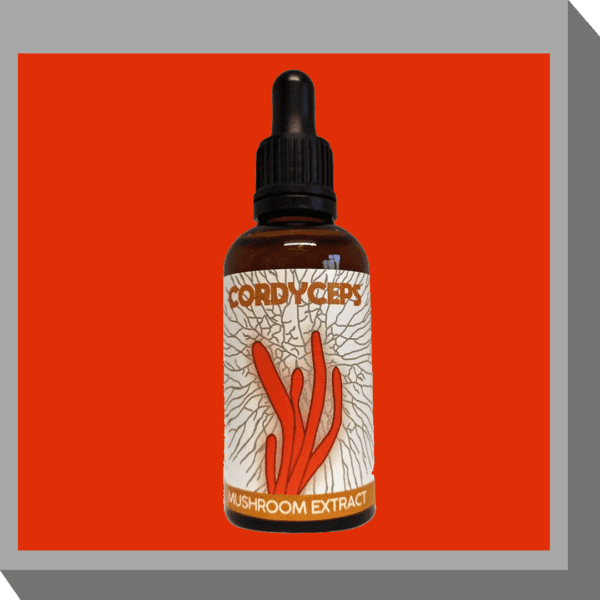 Cordyceps mushroom tincture 50ml bottle