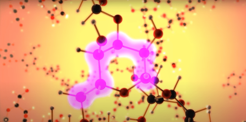 beta glucans 1.3 D glucose with 1.6 side branches